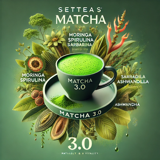 Specialty Blend  - "Matcha 3.0" - Individually Wrapped Tea Bags