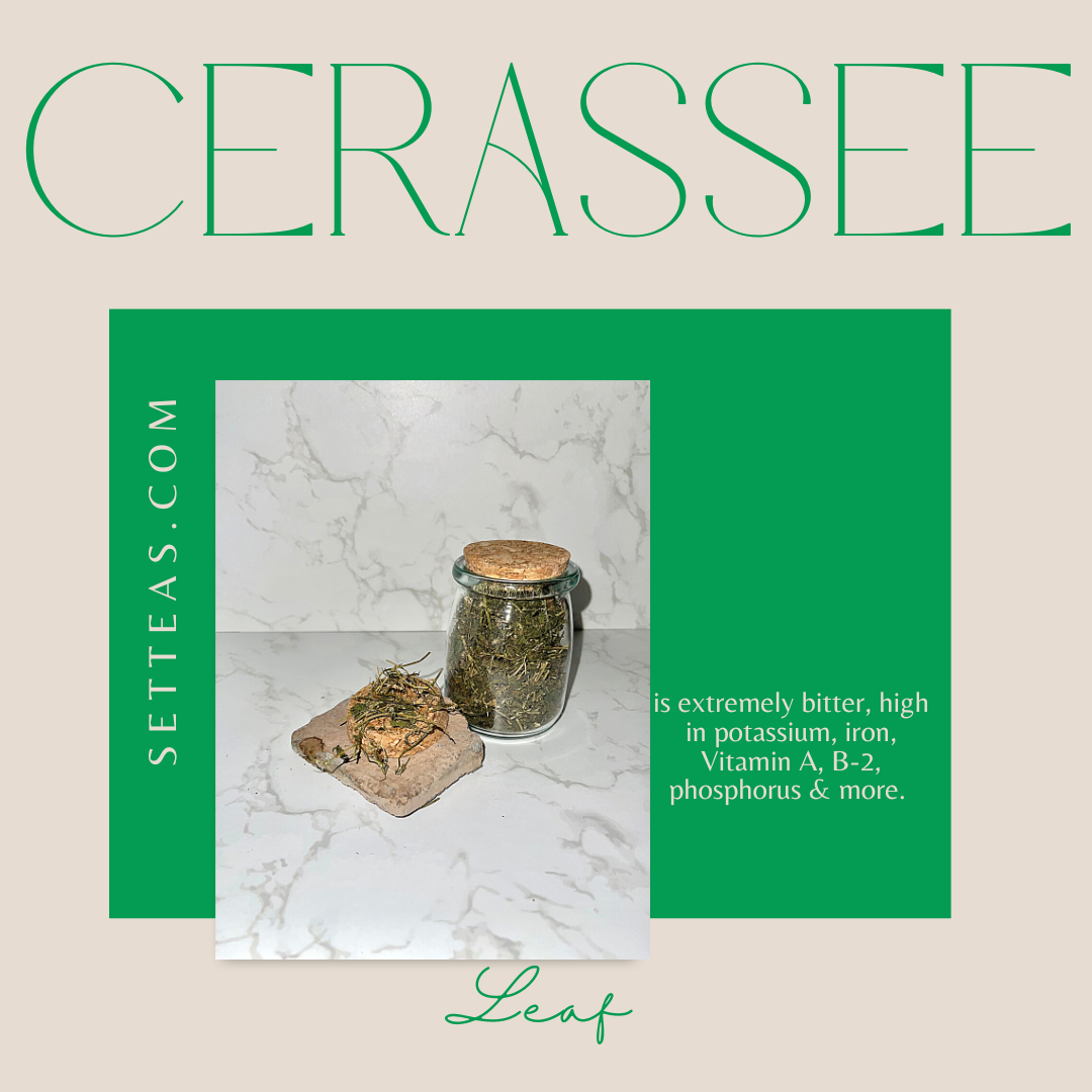 100% Cerasee - Individually Wrapped Tea Bags