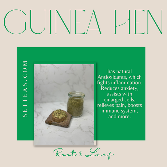 100% Guinea Hen Herb - Individually Wrapped Tea Bags