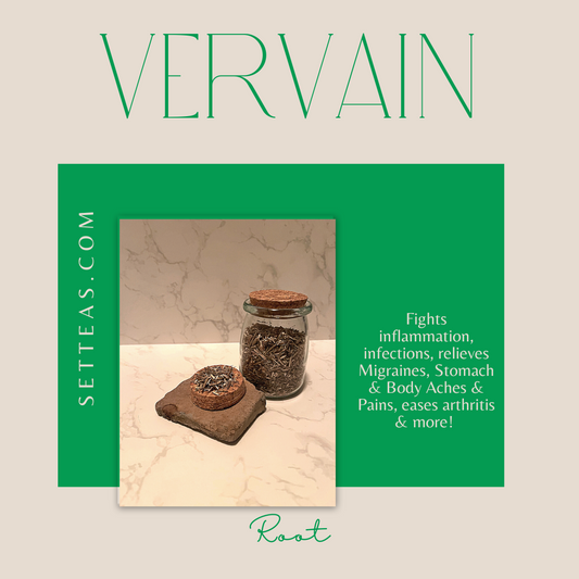 100% Vervain - Individually Wrapped Tea Bags