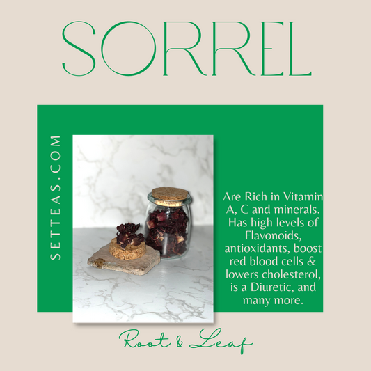 100% Sorrel - Individually Wrapped Tea Bags