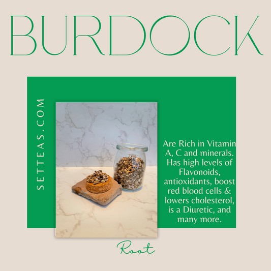 Burdock Root - Individually Wrapped Tea Bags
